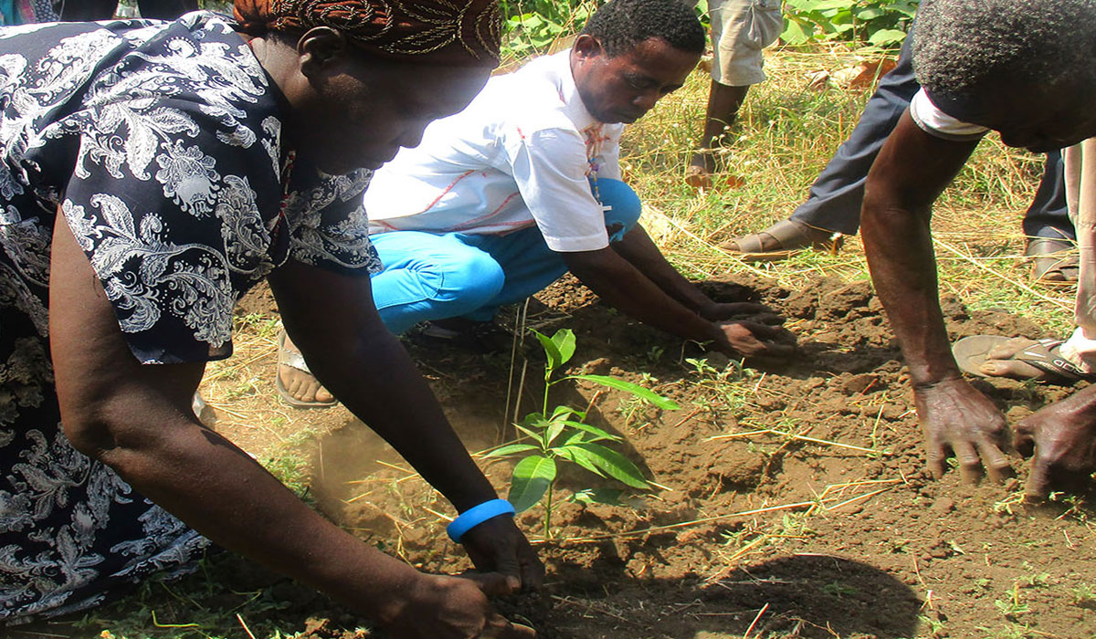 A woman planting a mango tree seedling after training by Base Net in Kapuri Juba South Sudan
